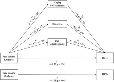 Pain-Specific Resilience in People Living With HIV and Chronic Pain: Beneficial Associations With Coping Strategies and Catastrophizing